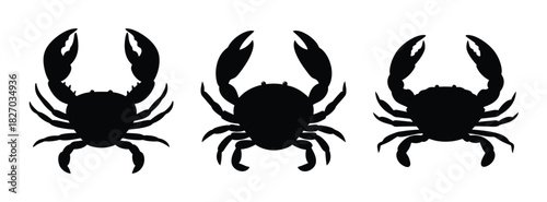 Discover black crab silhouette vector art for seafood designs and ocean themed graphic projects today
