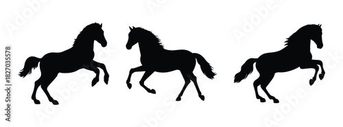 Horse silhouette vector design rearing horses black horse illustration equine art animal clip art