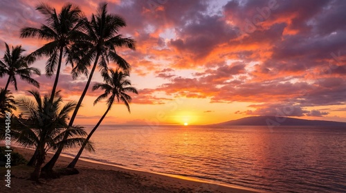 Vibrant sunset over a tropical beach with tall palm trees and calm ocean waves