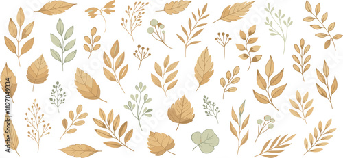 Delicate watercolor collection featuring various autumnal leaves and subtle botanical elements, ideal for creating charming seasonal patterns, decorative designs, and nature-inspired backgrounds