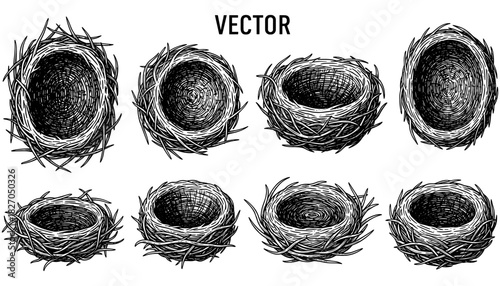 Bird nests collection: detailed ink drawings of natural twig nests in various designs