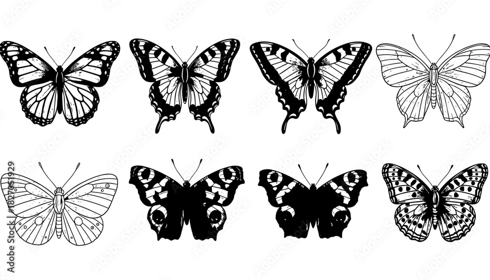 Naklejka premium Silhouette and outline butterflies collection for design projects