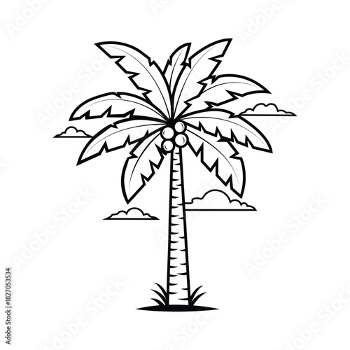 Simple black and white line drawing of a tropical palm tree with coconuts