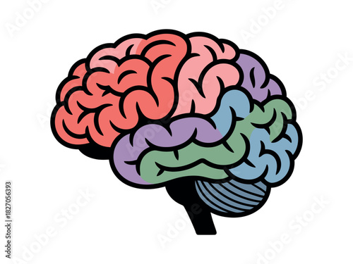 The human brain is a complex organ that controls thought, memory, and emotion.