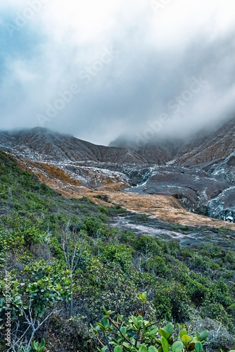 Cuadro en lienzo High-altitude tropical life persisting near the desolate, acid-etched crater of Poás Volcano, Costa Rica