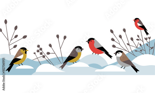 winter birds on dry branches flat vector illustration, easily editable.