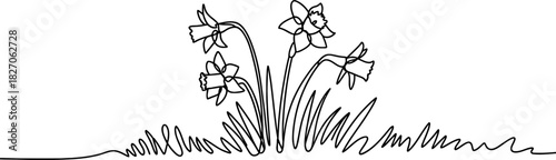 Continuous line drawing of spring daffodils and grass, symbolizing new beginnings, growth, and natural beauty with minimalist art Vector, illustration