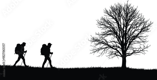 Black silhouette of two hikers with backpacks and trekking poles walking past a dead tree, isolated vector illustration.