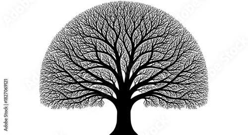 Detailed Tree Silhouette with Intricate Branch Structure.