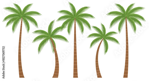 Palm Trees - A Tropical Oasis of Green and Brown.