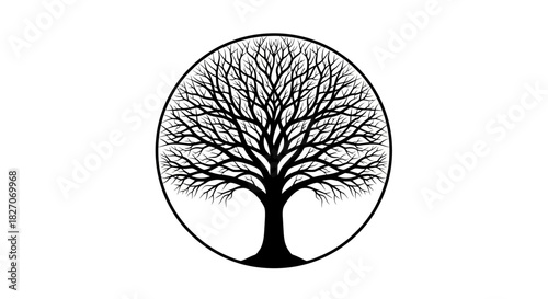 Silhouette of a bare tree inside a circle, representing nature and the cycle of life.