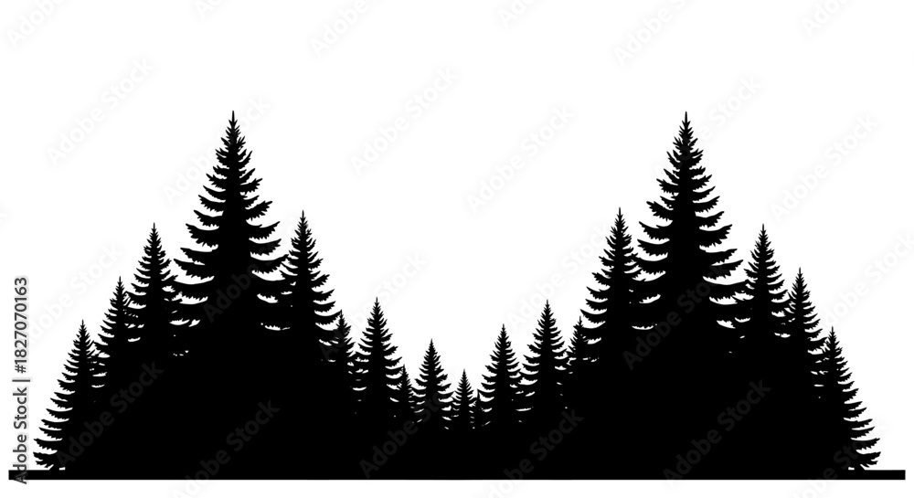 Fototapeta premium Silhouette of Evergreen Trees in a Dense Forest Landscape.
