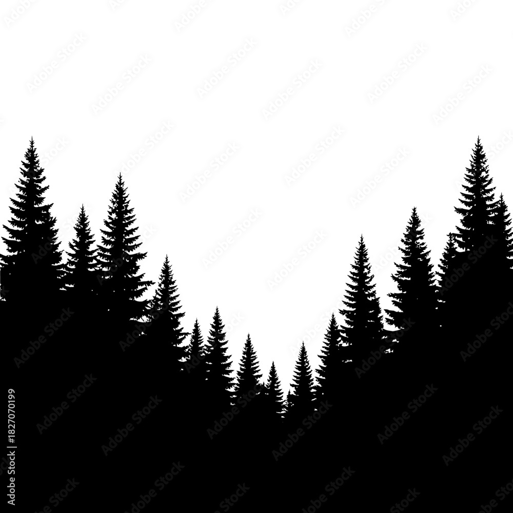 Obraz premium Silhouette of Evergreen Trees in a Forest Landscape.