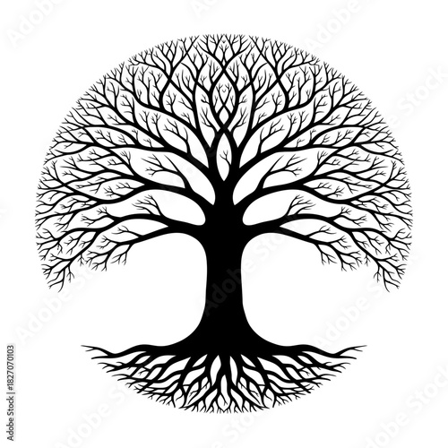 Silhouette of a Tree with Roots and Branches in Circular Shape.