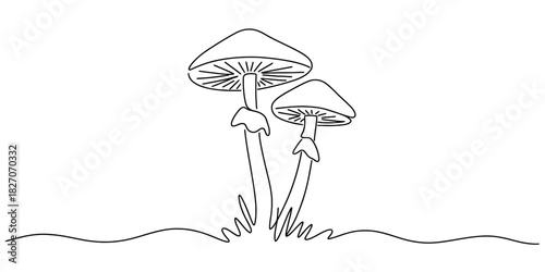 Minimalist line art drawing of two wild forest mushrooms with caps and stems growing from the ground on a clean white background. Vector, illustration