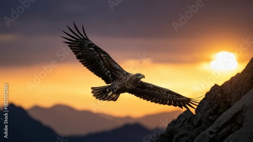 Majestic eagle soaring over mountain peaks during a beautiful golden sunset. Composite image showing the sequence of flight for concepts of freedom, power, and success