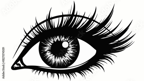 Detailed close up of a stylized eye with long eyelashes in black and white vector illustration