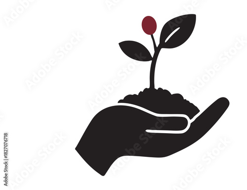 savings and earnings. A pair of hands holding a sapling in their palms.	
