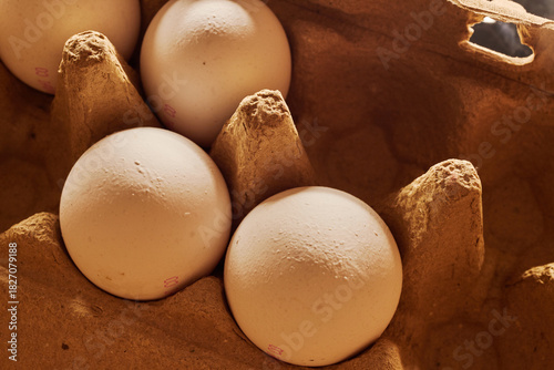 Close-up of several chicken eggs in a paper egg carton