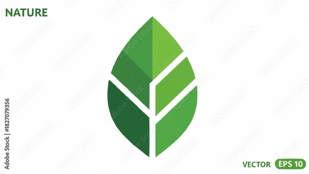 Fototapeta premium Illustration of a stylized green leaf with internal divisions on a white background vector art