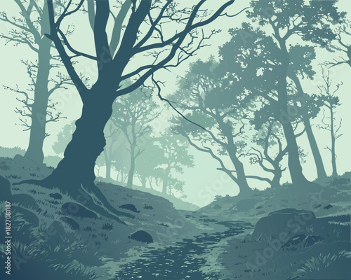 Misty Morning Forest Scene | Misty Forest Morning Landscape
