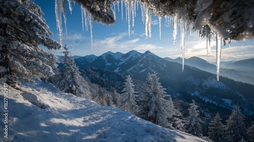 winter mountain valley with snowy forest, frosty hills and trees in cold blue light