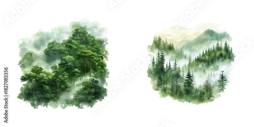 lush green forest in morning mist watercolor vector illustration