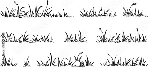 grass, nature, drawing, sketch, illustration, black and white, outline, simple, organic, vegetation, plant, field, meadow, border, design element, isolated, white background, natural, growth, spring, 