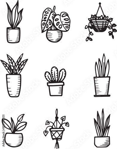 Potted Plants Collection Art