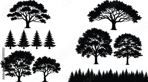 Vector silhouette collection of various forest trees, featuring dense deciduous oaks, towering coniferous pine trees, and a tree line border, symbolizing nature, parkland, and environment.
