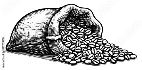 Hand drawn burlap sack with spilled coffee beans sketch Vector illustration of roasted arabica seeds and bag in vintage engraving style