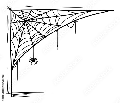 Hand drawn spiderweb corner with hanging spider sketch Vector illustration of spooky cobweb frame for Halloween decoration