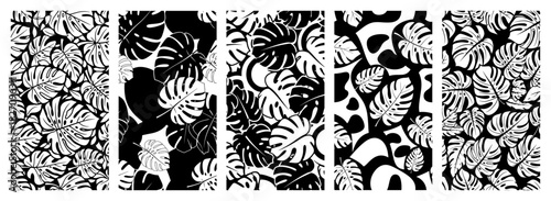 Set of vertical banners featuring tropical monstera leaf patterns and botanical foliage Vector black and white line art illustration