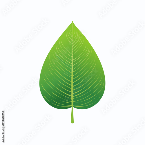 living creatures on earth