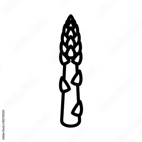 Outline of asparagus vegetable in minimalist style  
