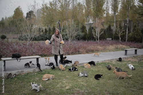 Wallpaper Mural A woman feeding a cat in the cold season in a park in Tehran Torontodigital.ca