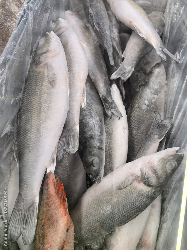 Obraz premium Fresh catch at the local market in early morning light showcasing various fish
