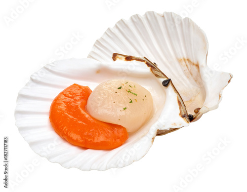 Scallop shellfish isolated on transparent background, cutout, png cutout png