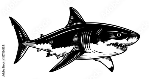 Great white shark in vintage line art style