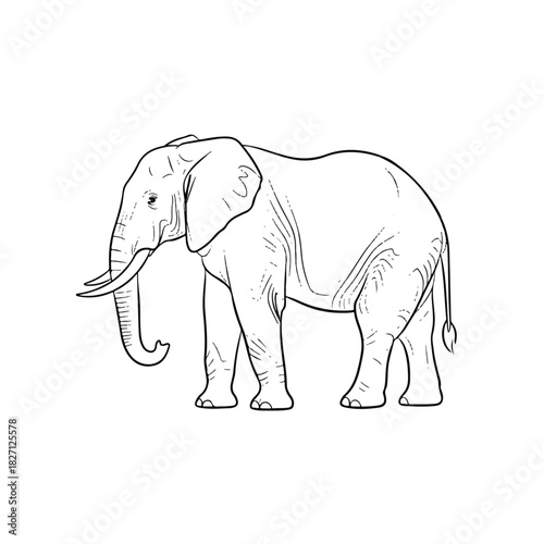 Elegant hand-drawn elephant sketch with a simple line outline.