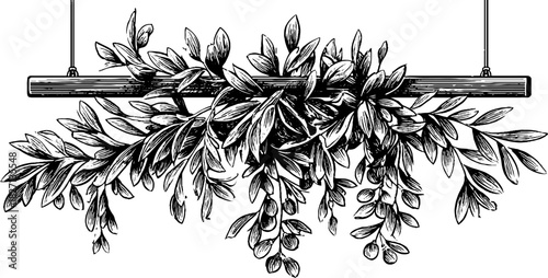 Intricate botanical banner art decorative design for print or card