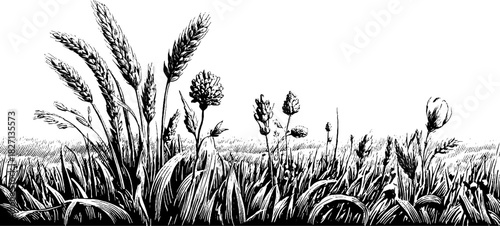 Vintage botanical frame with engraved decorative illustration for design