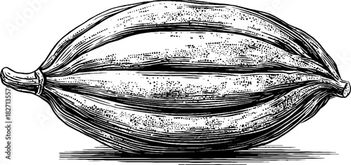 Intricate hand drawn botanical seed pod design for vintage decor