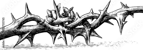 Vintage decorative border design with engraved thorny vine illustration for retro print