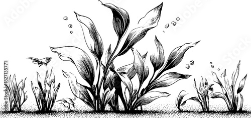 Intricate hand-drawn decorative border design with botanical elements