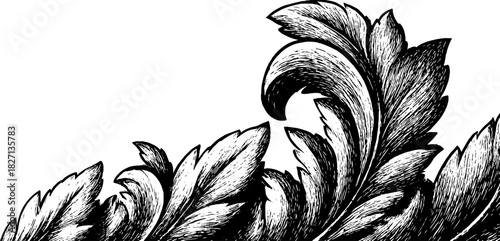 Ornate decorative border with engraved leaf design for classic art projects