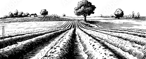 Engraved decorative farmland landscape illustration vintage sketch hand drawn engraving.
