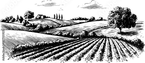 Engraved decorative illustration of a scenic farmland landscape for vintage design