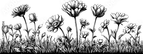 Engraved floral banner design with decorative flowers for vintage art prints