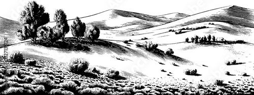 Engraved decorative illustration of a picturesque hillside meadow landscape for design and art projects